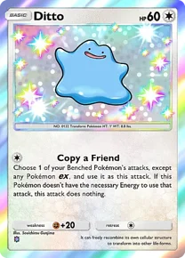 Ditto
