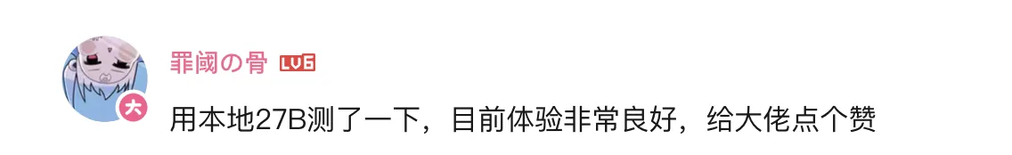 用户反馈：使用本地 27B 模型，体验非常良好