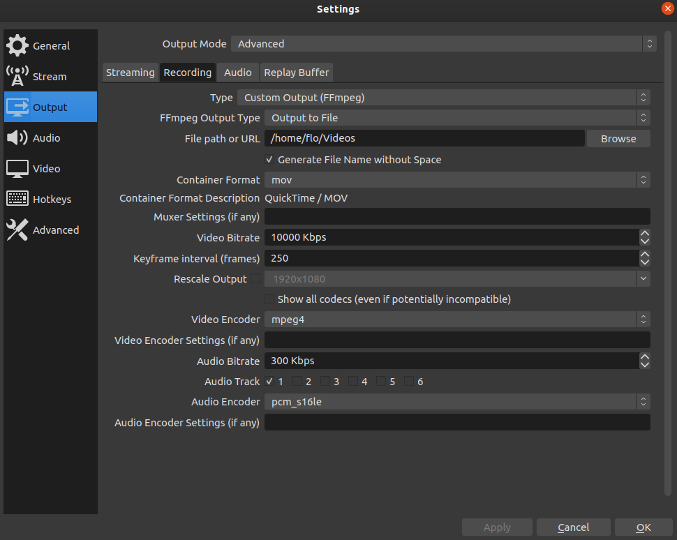 Open Broadcaster Software Output Settings