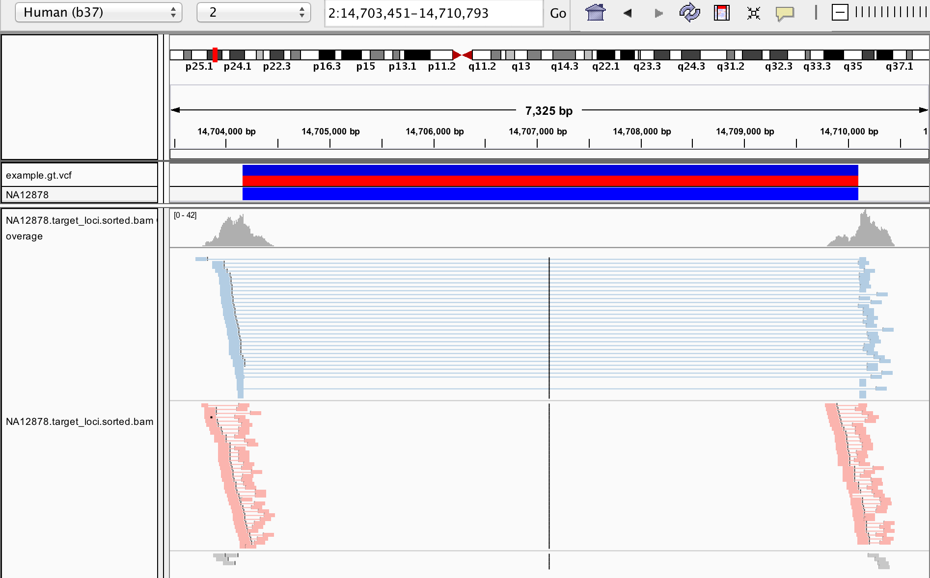 NA12878 heterozygous deletion