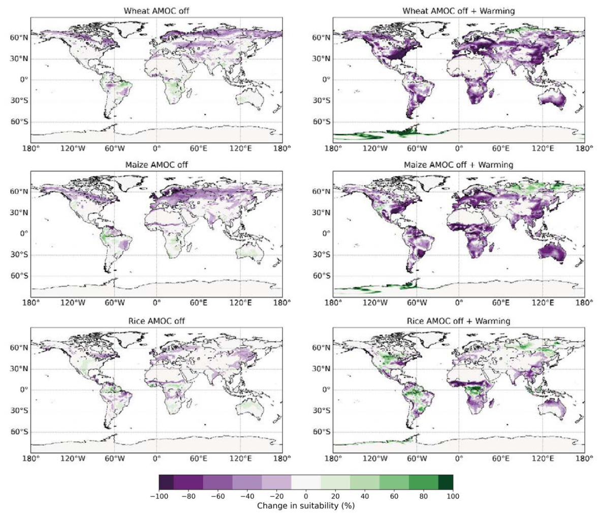 AMOC Crop Impacts