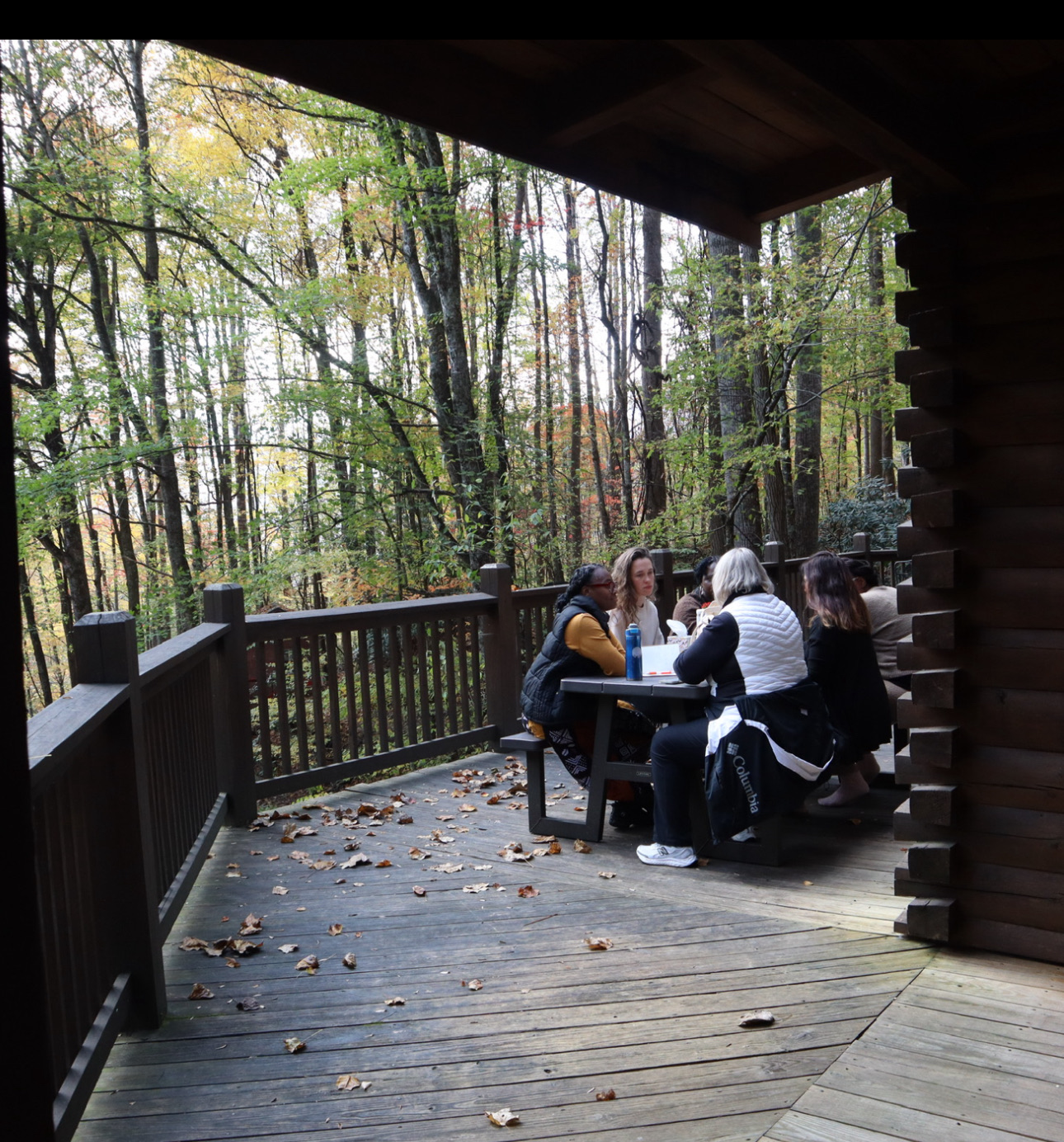 A small group talking at a table on a wooded cabin deck