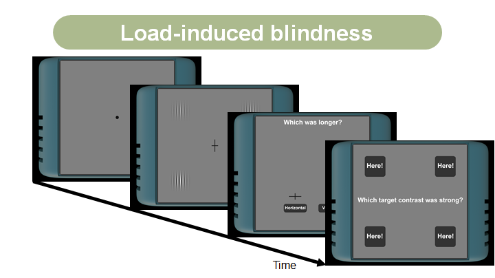 Load-induced blindness task