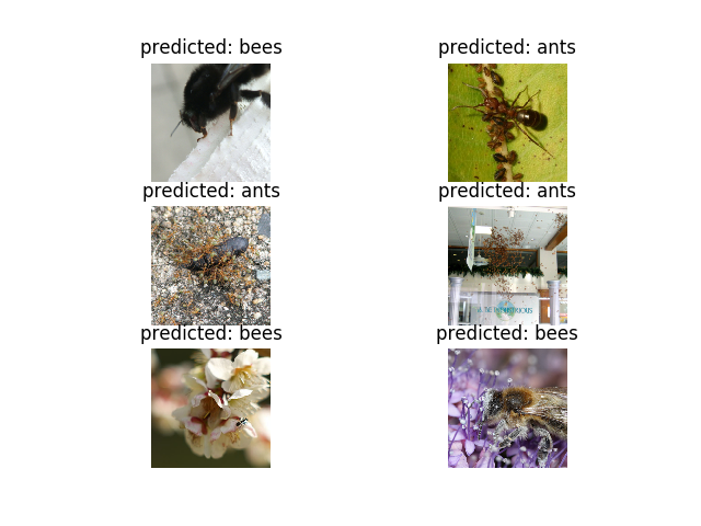 Bees Vs Ants dataset