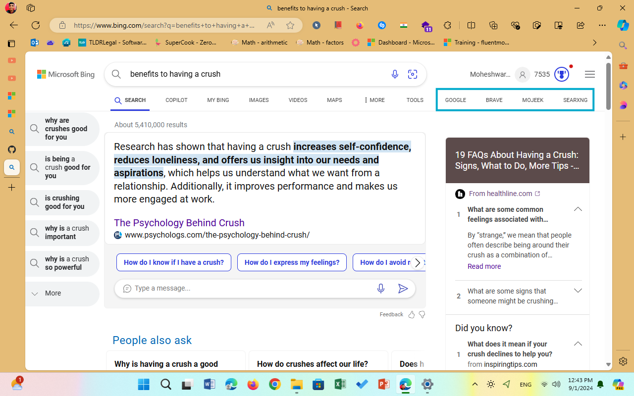 Screenshot of Bing Enhancer