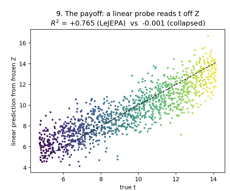 A linear probe recovers t at R² = 0.765, versus -0.001 for the collapsed model
