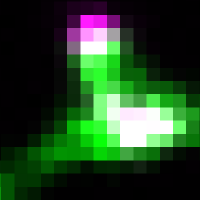 Logo URL