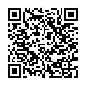 Bitcoin Lightning donation QR code