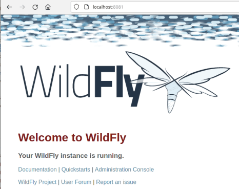 netty proxy example