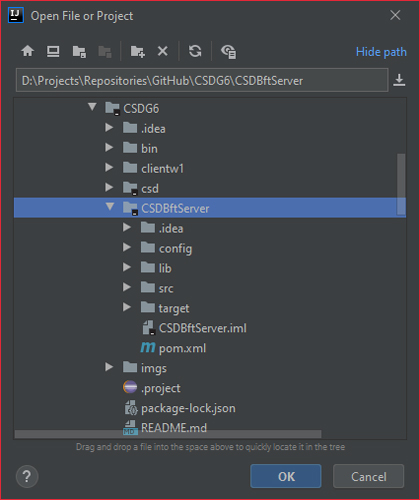 Instructions - Starting the Byzantine Fault-Tolerant Server (State Machine Replica) #1