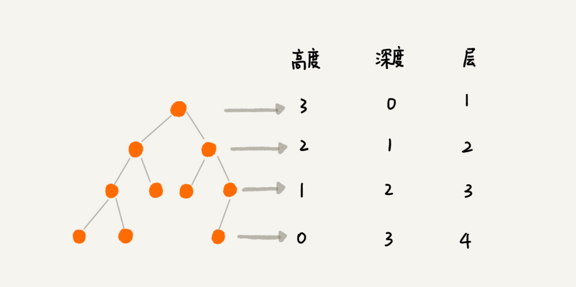 Tree-height-depth-level