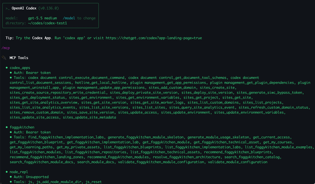 FoggyKitchen MCP tools available in Codex