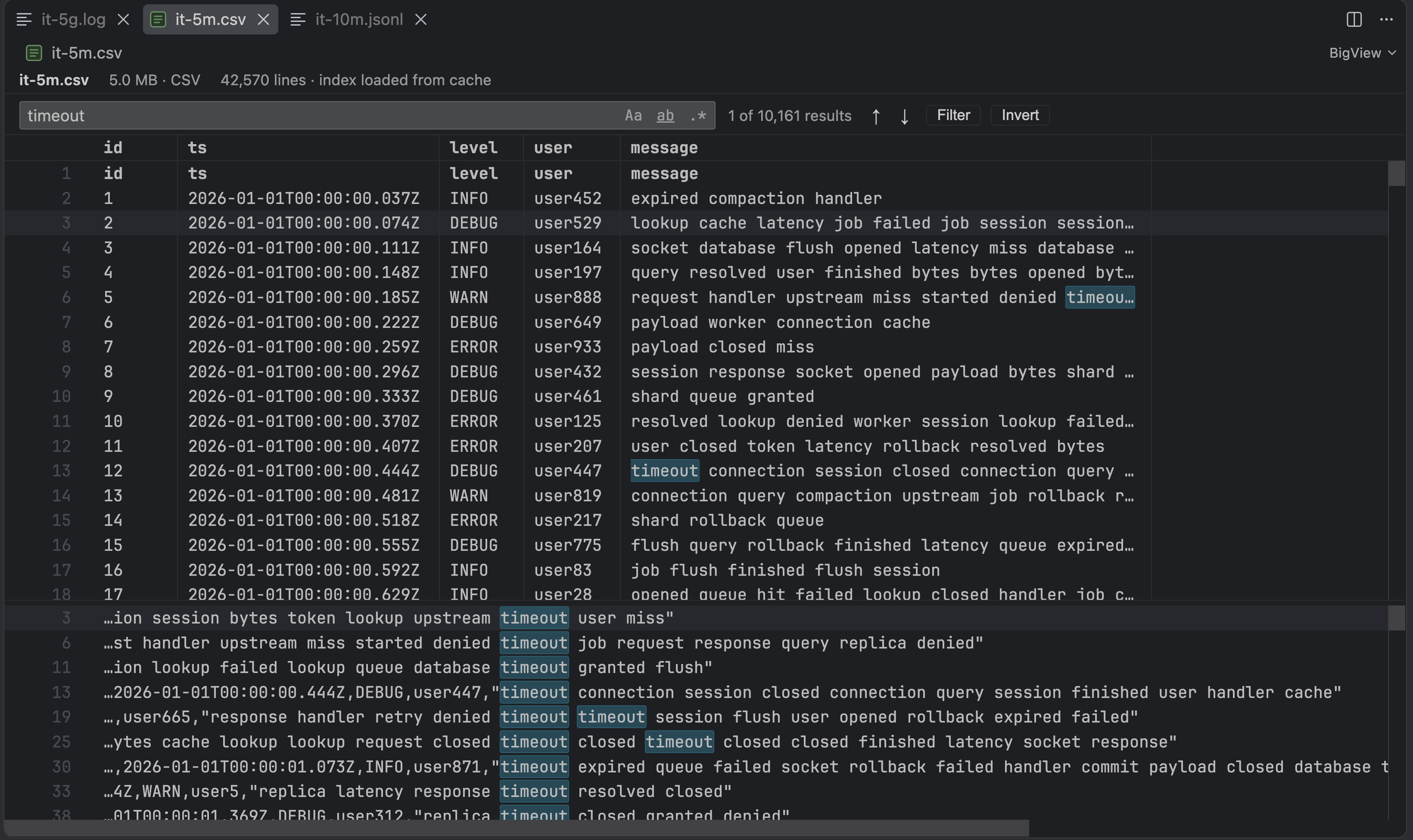 BigView — CSV table with search matches