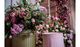 Fashion TV-BklVQpLAJFC-4