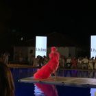 Fashion TV-Bld-b1ng6wM-1