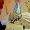 Fashion TV-BnrVU3rH5yw-6