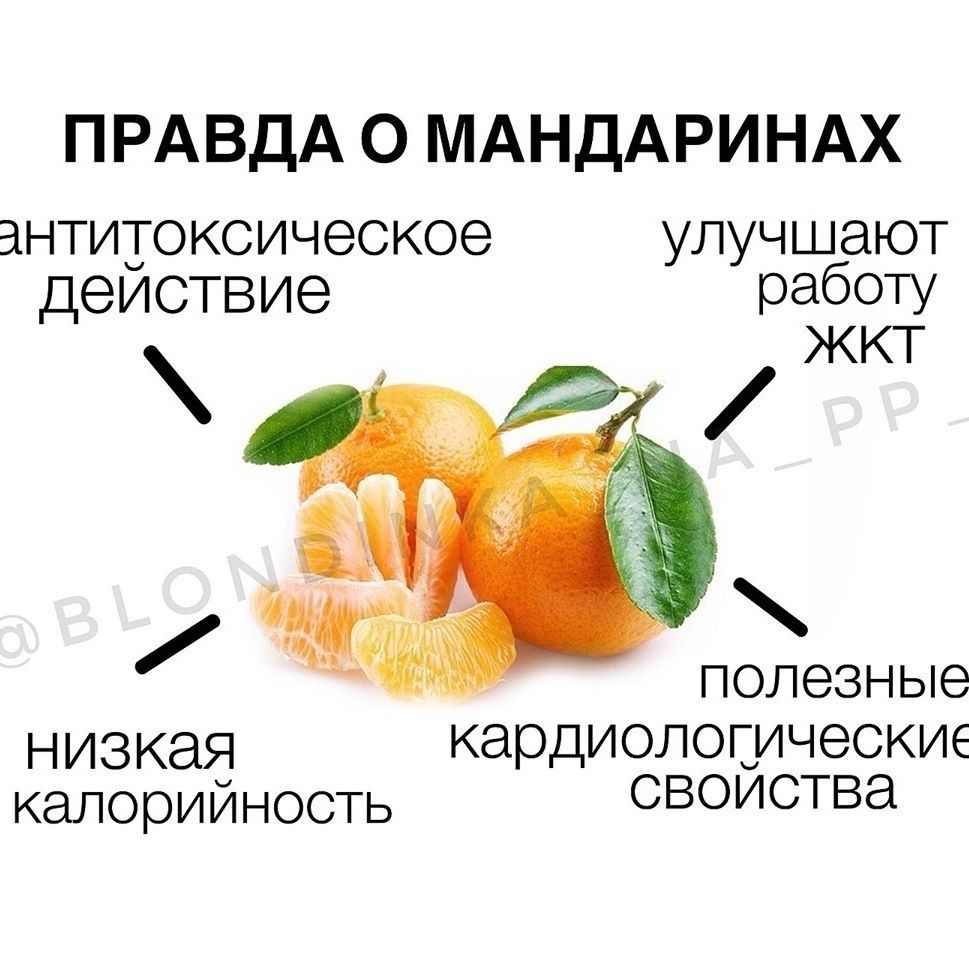 Полезное питание-BrpMBT2hCOe-0