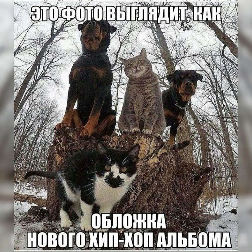 Полезное питание-BsNjwYaBmoc-0