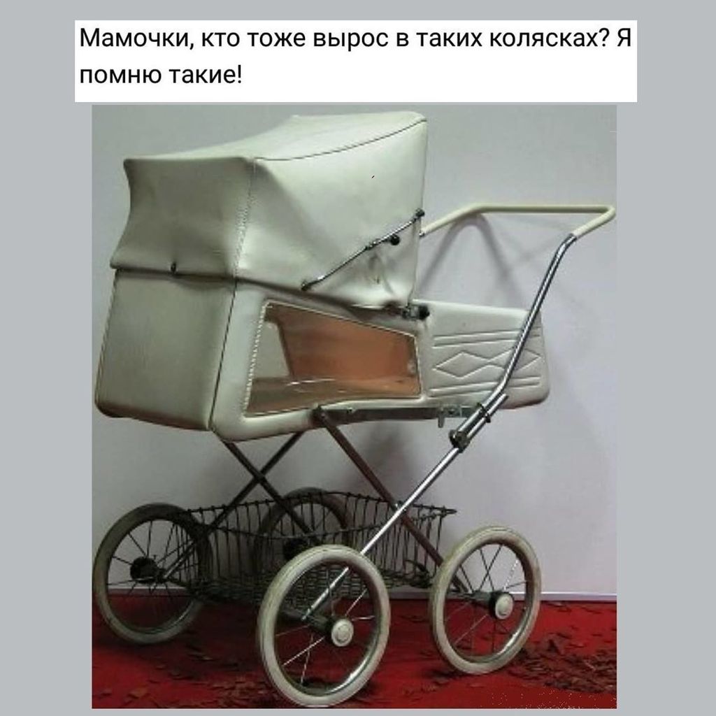 Полезное питание-BsStViSBj-1-0