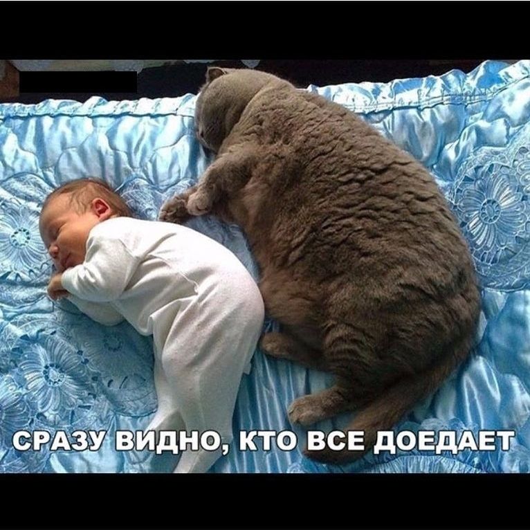 Полезное питание-BtTFUQOhQ98-0