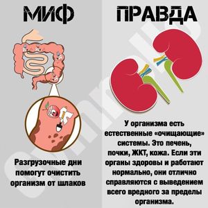 Полезное питание-BtkyPt9hhY8-0