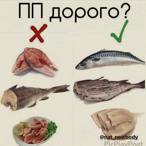Полезное питание-BvL4-scBL9h-0