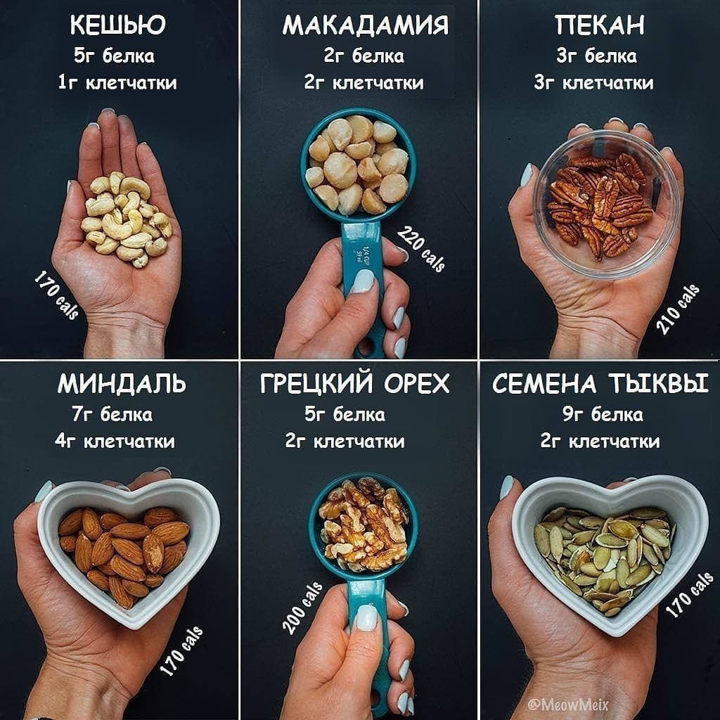 Полезное питание-BvqroP_B4my-0