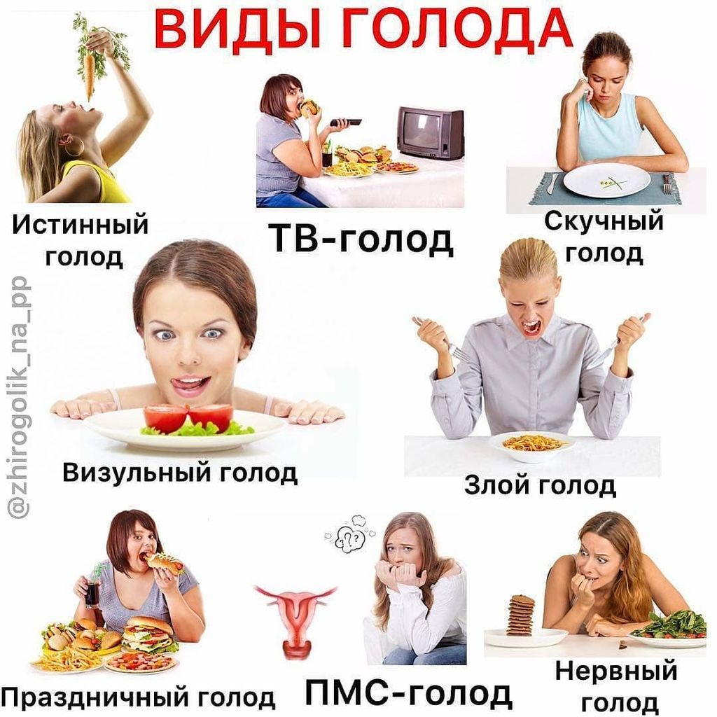 Полезное питание-BzLBZD4H8aW-0