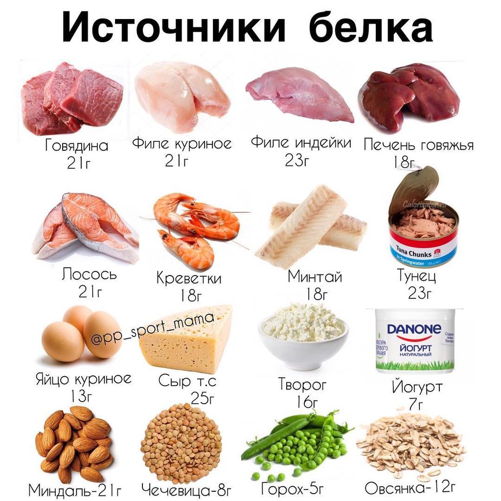 Полезное питание-B0THqq6H8ds-0
