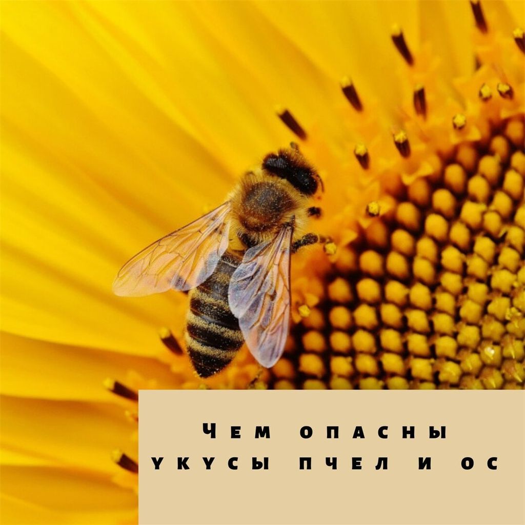 Красота и здоровье-B0_fHDggats-0