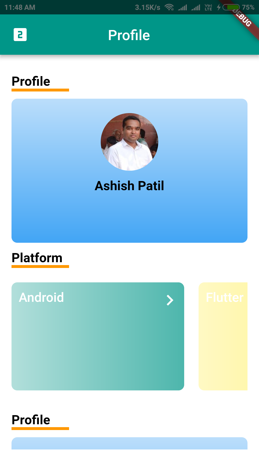 Flutter view flip screenshot