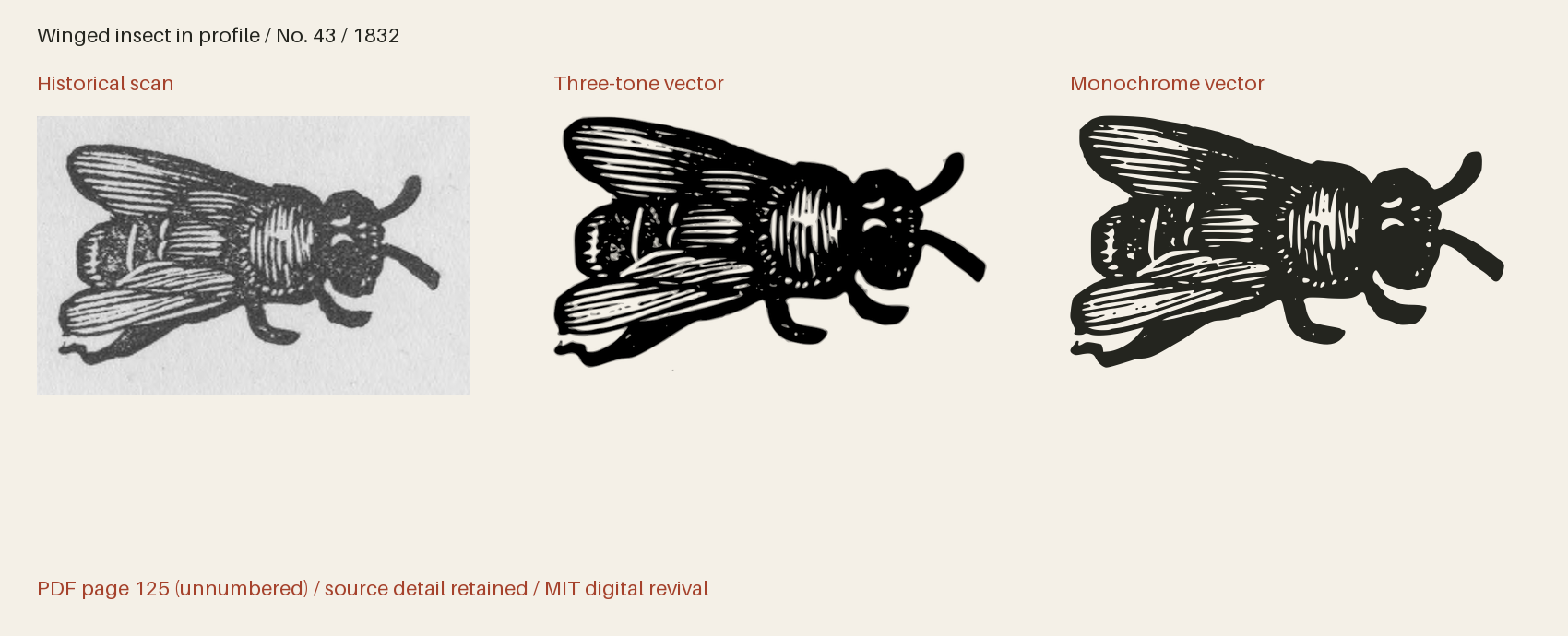Historical scan beside the three-tone and monochrome vector revivals