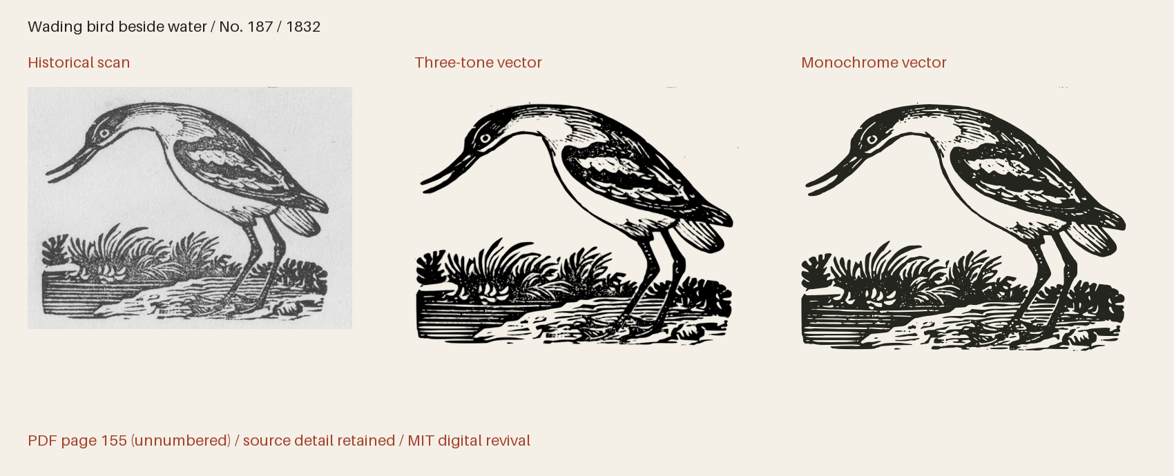 Historical scan beside the three-tone and monochrome vector revivals