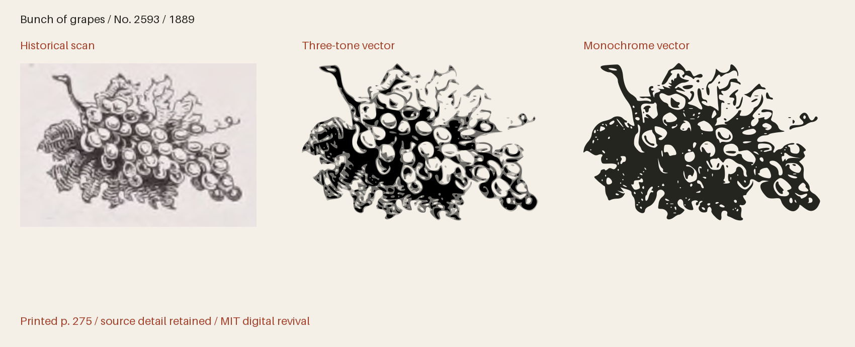 Historical scan beside the three-tone and monochrome vector revivals