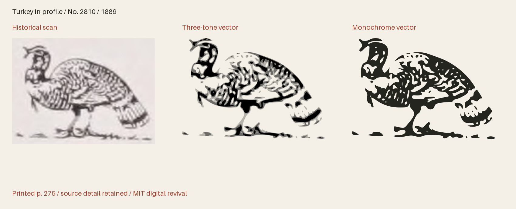 Historical scan beside the three-tone and monochrome vector revivals