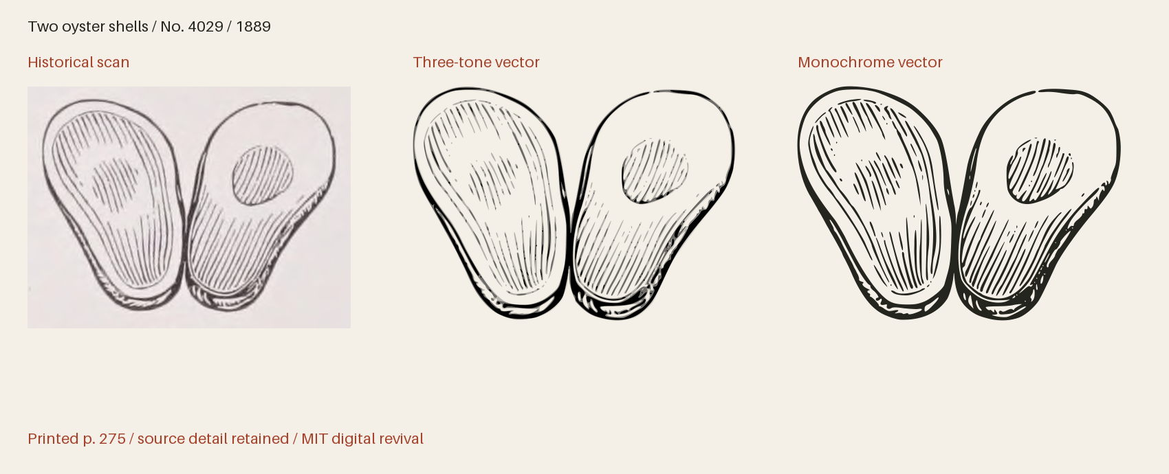 Historical scan beside the three-tone and monochrome vector revivals