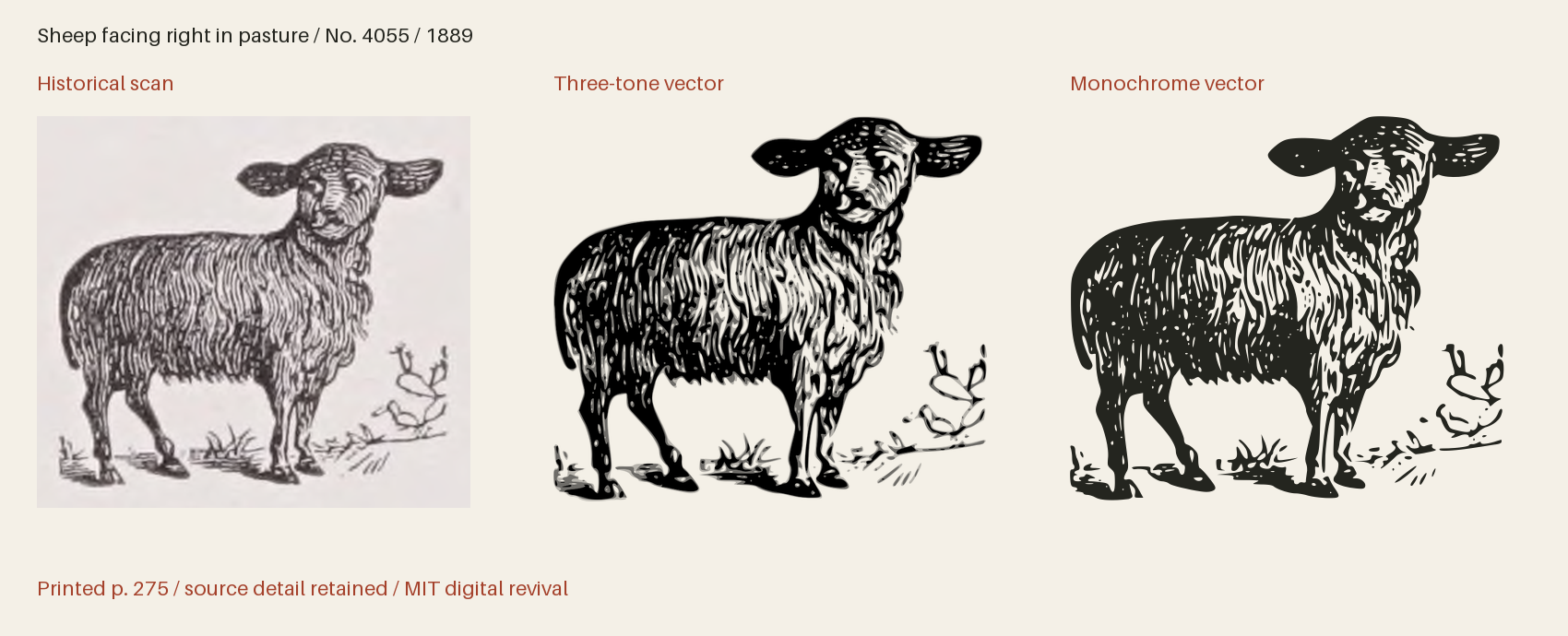 Historical scan beside the three-tone and monochrome vector revivals