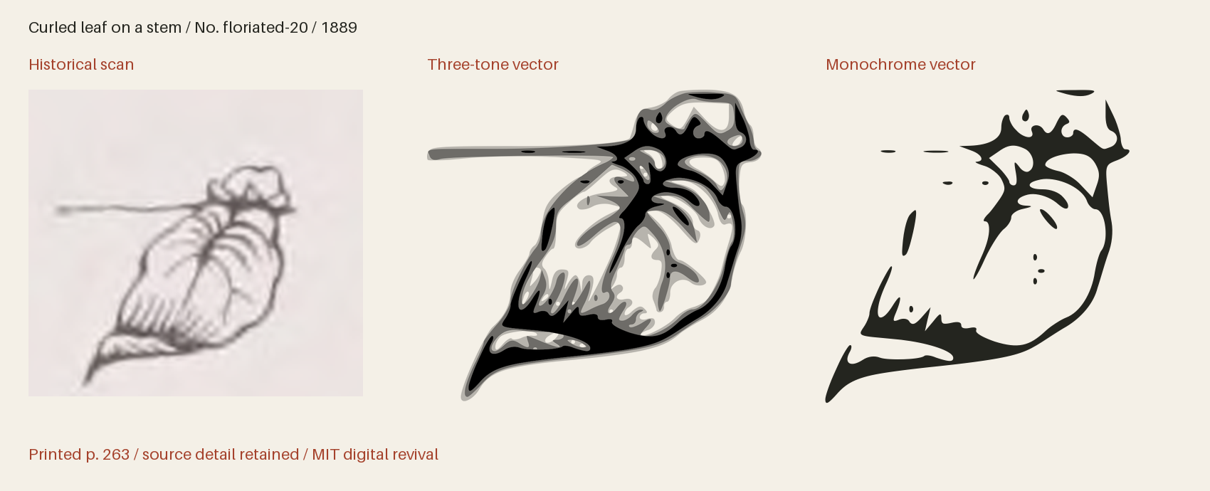 Historical scan beside the three-tone and monochrome vector revivals
