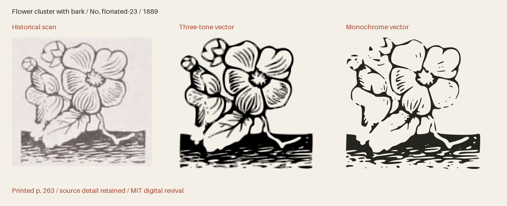 Historical scan beside the three-tone and monochrome vector revivals