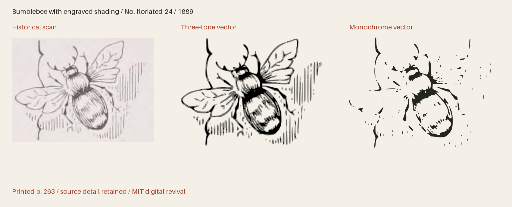 Historical scan beside the three-tone and monochrome vector revivals