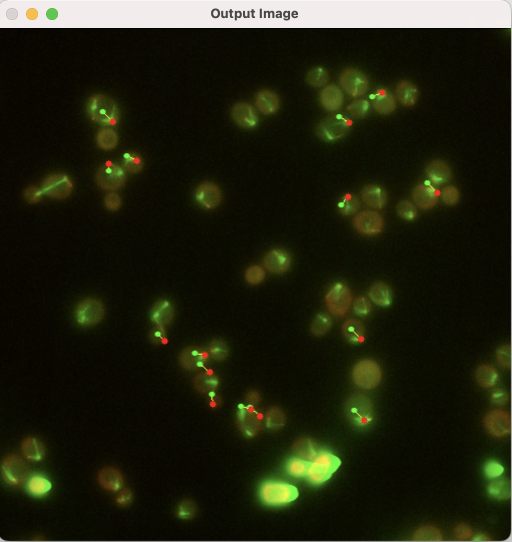 github-force10269-dyneinprotein
