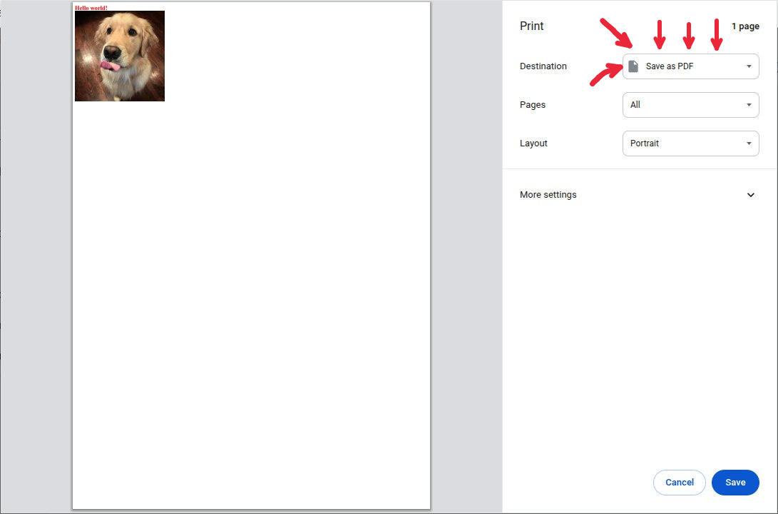 The browser print dialog opened by the "PDF (print)" menu entry