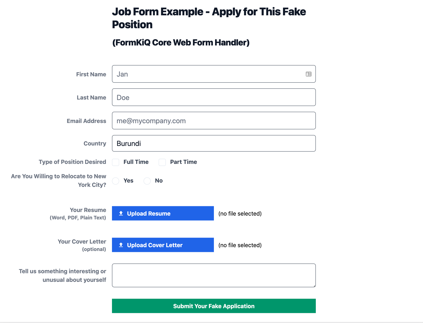 Screenshot of Job Application Form Example