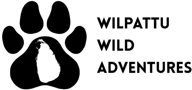 Wilpattu Wild Adventures