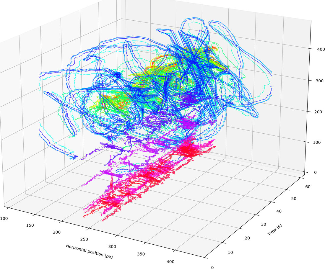 Pose waterfall (trajectories)
