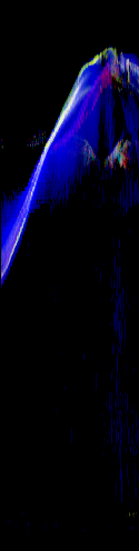y-motiongram
