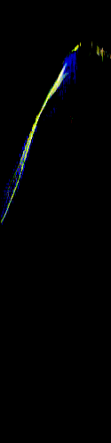 y-motiongram