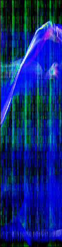 y-motiongram
