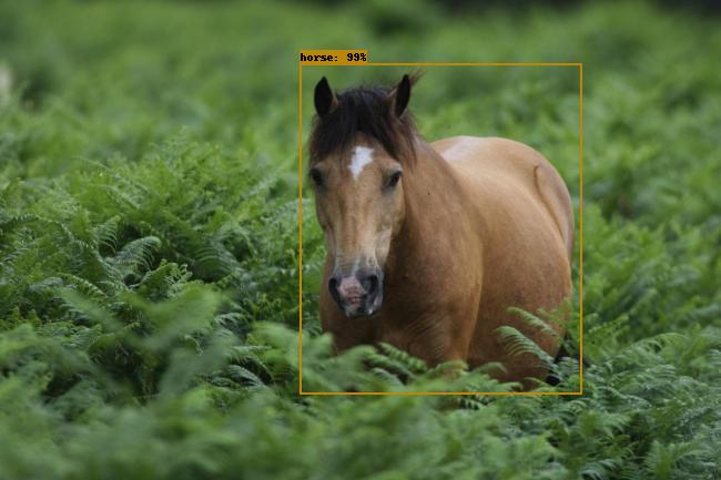 horse labelled with faster rcnn resnet
