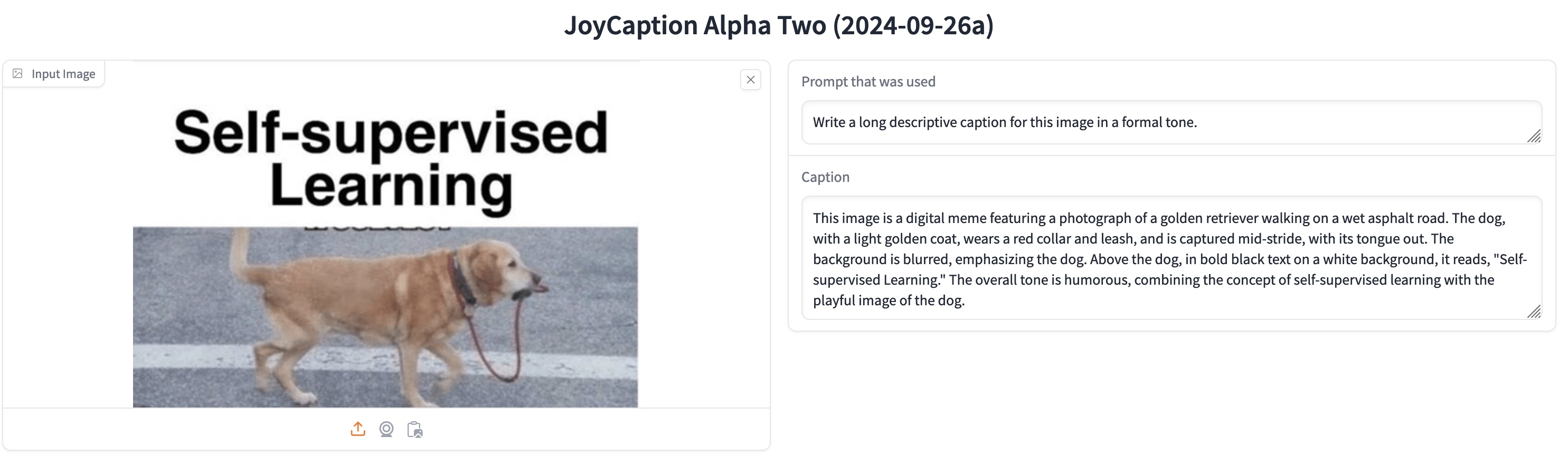 This image is a digital meme featuring a photograph of a golden retriever walking on a wet asphalt road. The dog, with a light golden coat, wears a red collar and leash, and is captured mid-stride, with its tongue out. The background is blurred, emphasizing the dog. Above the dog, in bold black text on a white background, it reads, "Self-supervised Learning." The overall tone is humorous, combining the concept of self-supervised learning with the playful image of the dog.